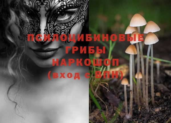 эйфоретик Михайловка
