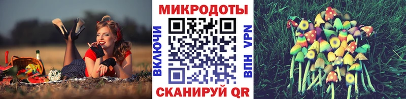 Псилоцибиновые грибы MAGIC MUSHROOMS  Сычёвка 