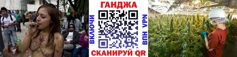 ОМГ ОМГ как войти Сычёвка Бошки марихуана тримм